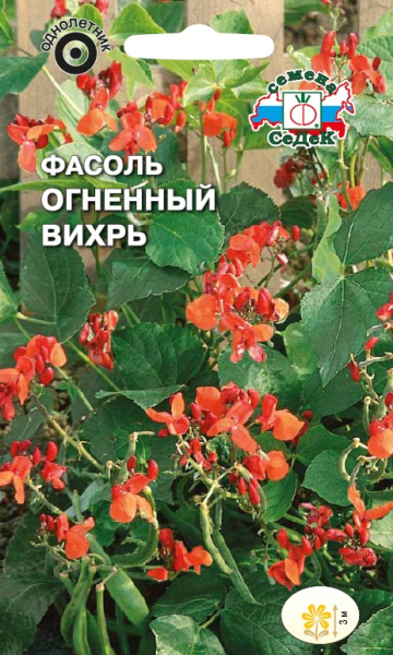 Фасоль Огненный Вихрь огненно-красная