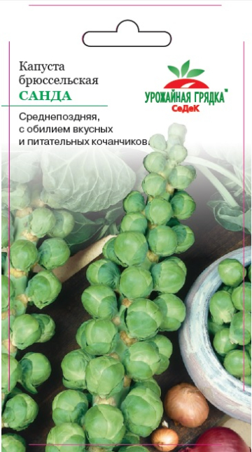 Капуста Санда