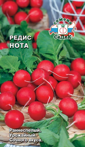 Редис Нота