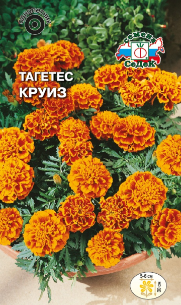 Тагетес Круиз