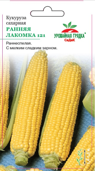 Кукуруза Ранняя Лакомка