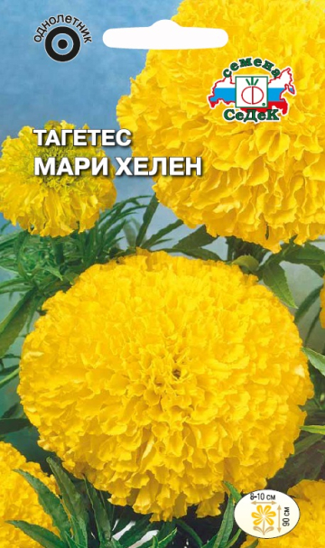 Тагетес Мари Хелен