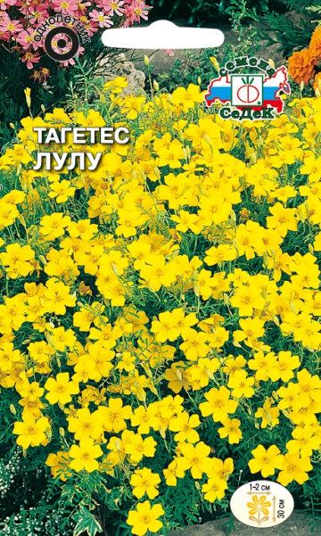 Тагетес Лулу