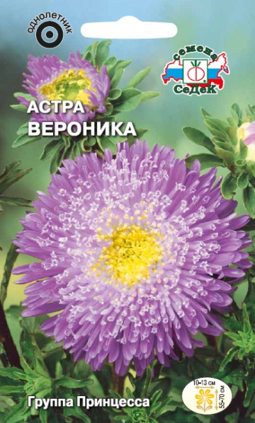 Астра Вероника