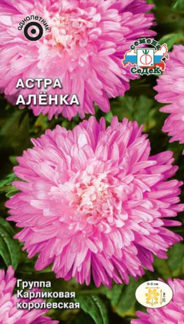 Астра Алёнка
