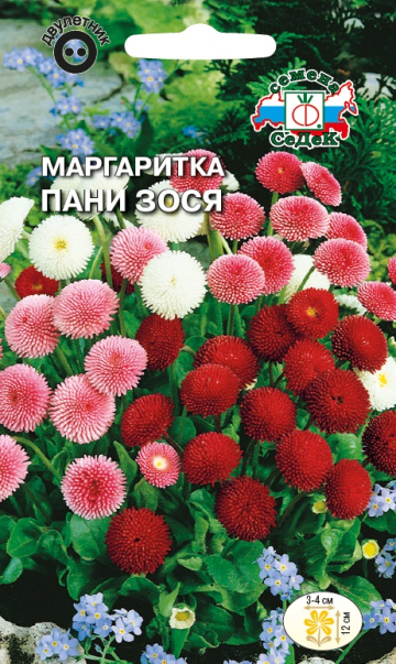 Маргаритка Пани Зося (смесь)