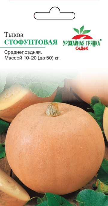 Тыква Стофунтовая