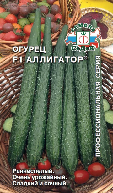 Огурец Аллигатор® F1