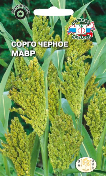 Сорго Мавр (черное)