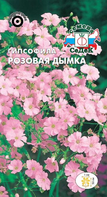 Гипсофила Розовая дымка