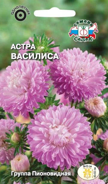 Астра Василиса