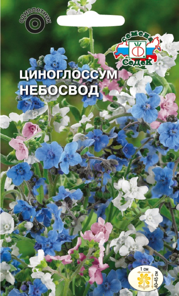Циноглоссум Небосвод (чернокорень)