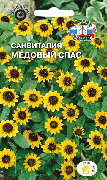Санвиталия Медовый спас распростертая