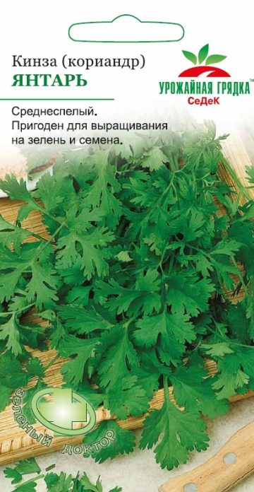Кориандр Янтарь