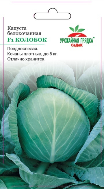 Капуста Колобок F1