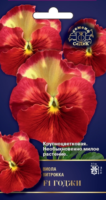 Фиалка ГОДЖИ F1