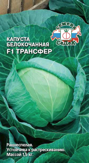 Капуста Трансфер F1