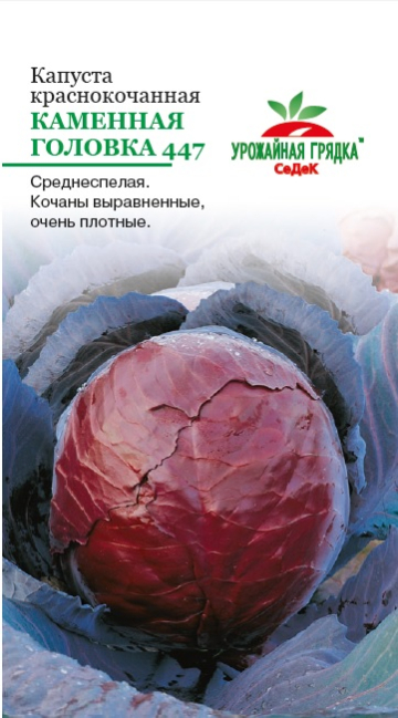 Капуста Каменная головка 447 (Краснокочанная)