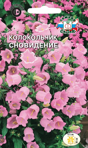 Колокольчик Сновидение средний