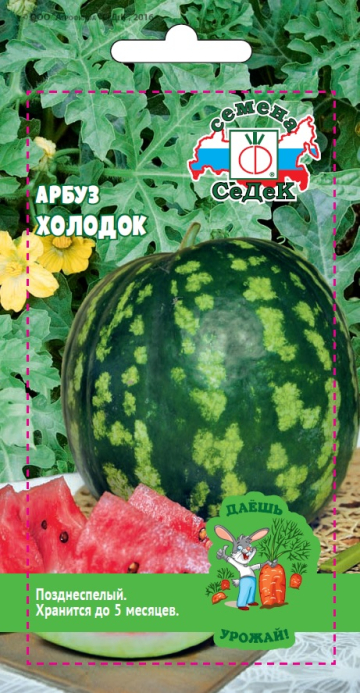 Арбуз Холодок (ДУ)