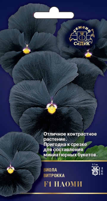 Фиалка НАОМИ F1