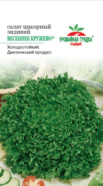 Салат Эндивий Весеннее Кружево