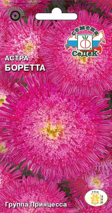 Астра Боретта