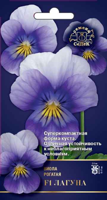 Фиалка ЛАГУНА F1