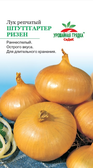 Лук репчатый Штуттгартер ризен - Урожайная грядка