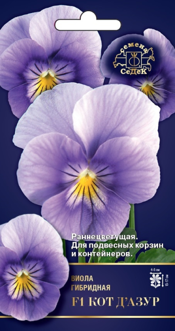 Фиалка Кот Д’Азур F1