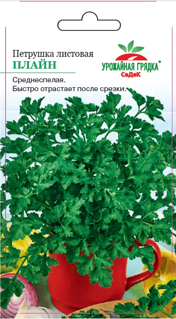 Петрушка листовая Плайн
