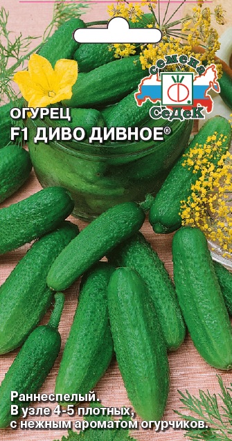 Огурец Диво Дивное® F1