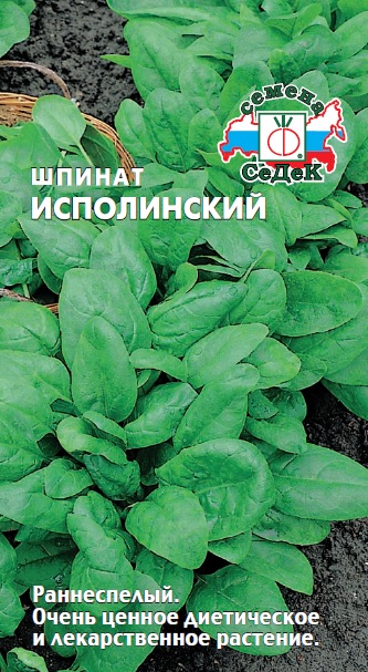 Шпинат Исполинский