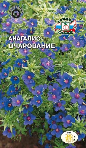 Анагалис Очарование