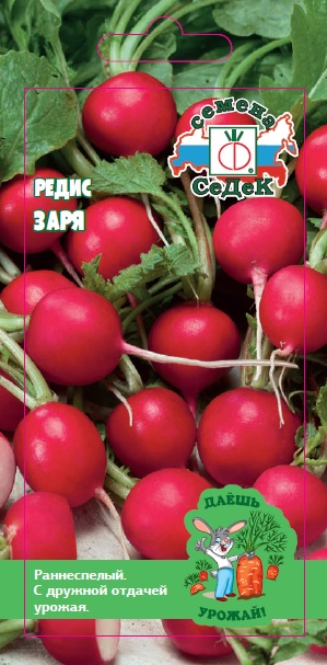 Редис Заря (ДУ)