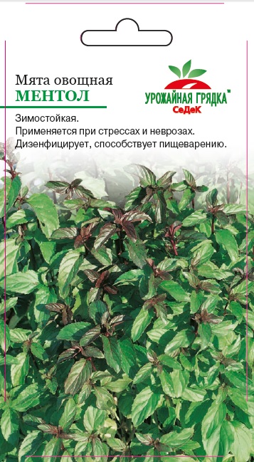 Мята овощная Ментол