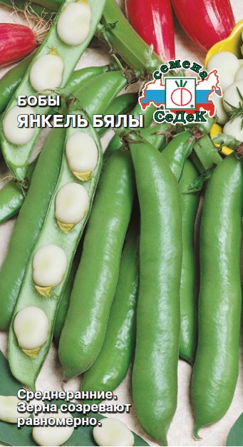 Бобы Янкель Бялы