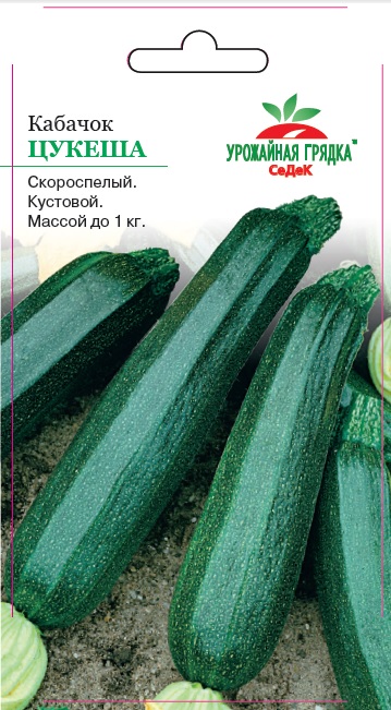 Кабачок Цукеша