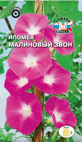 ������ ��������� ����