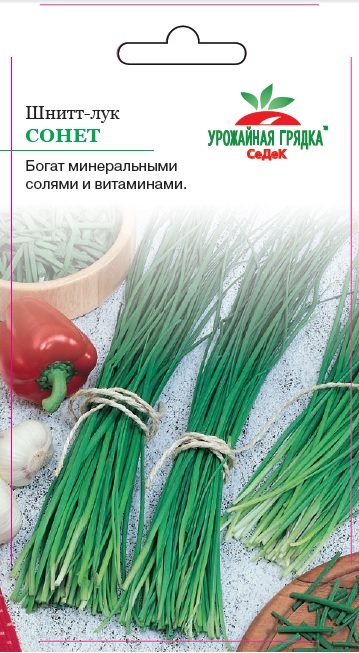Шнитт-лук Сонет