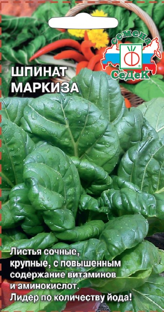 Шпинат Маркиза