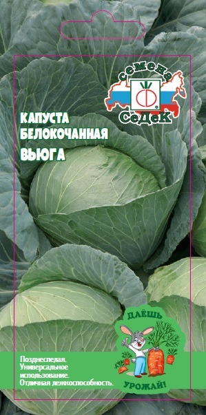 Капуста Вьюга (ДУ)