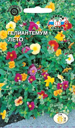 Гелиантемум Лето