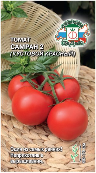 Томат Самран 2 (Кустовой красный)