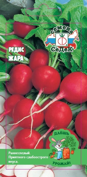 Редис Жара (ДУ)