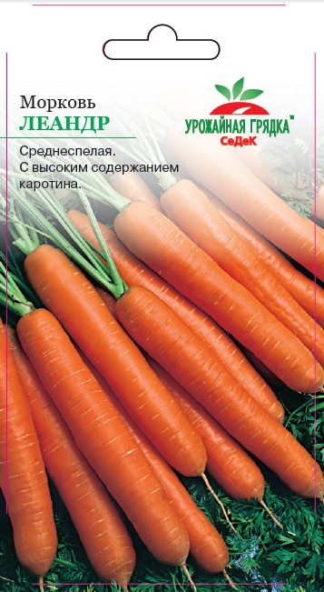 Морковь Леандр - Урожайная грядка