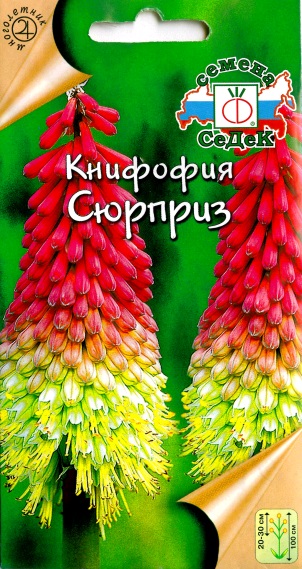 Книфофия Сюрприз