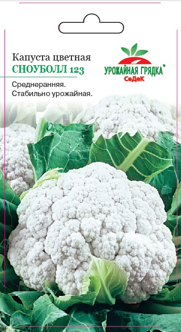 Капуста Сноуболл 123 (цветная)