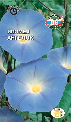 ������ �������