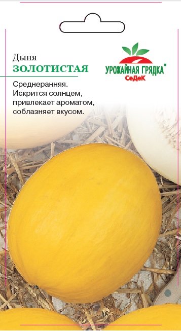 Дыня Золотистая
